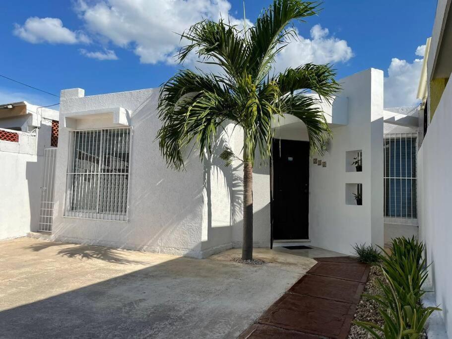 Casa En Puesta Del Sol/Excelente Ubicacion/2 Hab/Wifi/Netflix/Super Comoda Villa Mérida Eksteriør billede