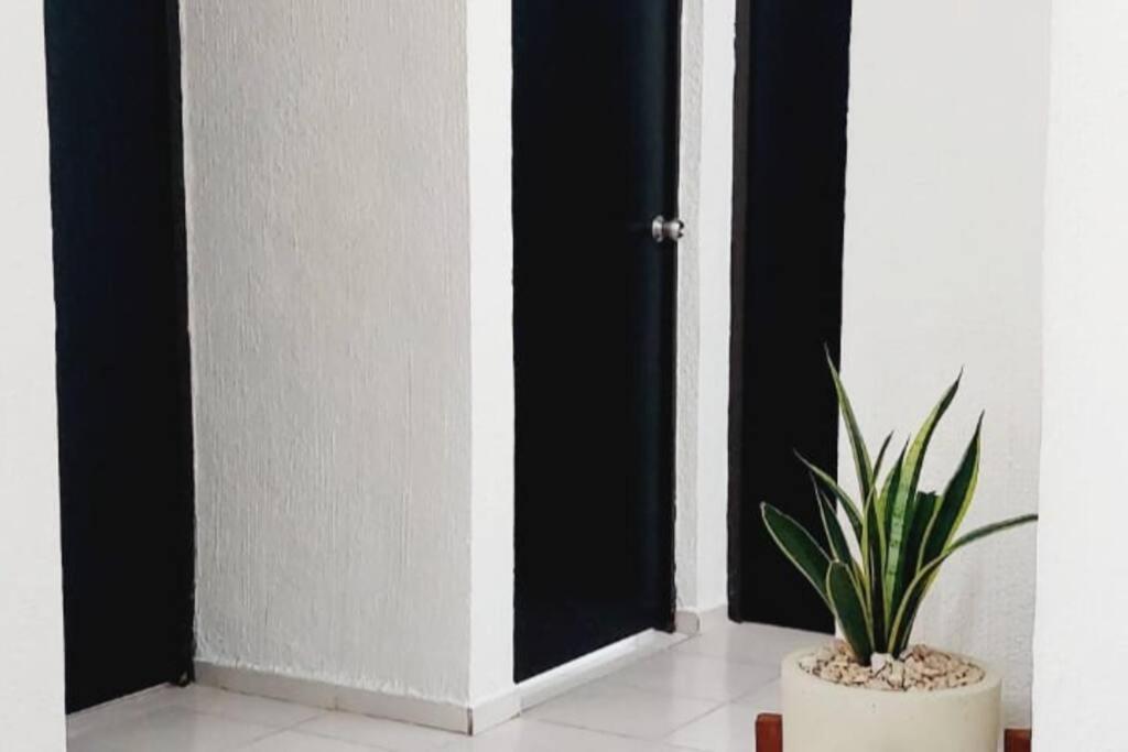 Casa En Puesta Del Sol/Excelente Ubicacion/2 Hab/Wifi/Netflix/Super Comoda Villa Mérida Eksteriør billede